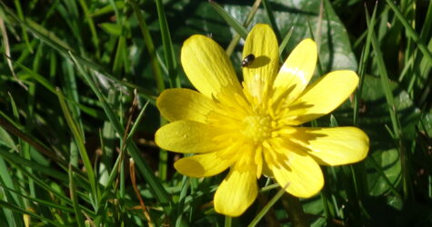 Le 22 février, le culte est à Saint Antoine
